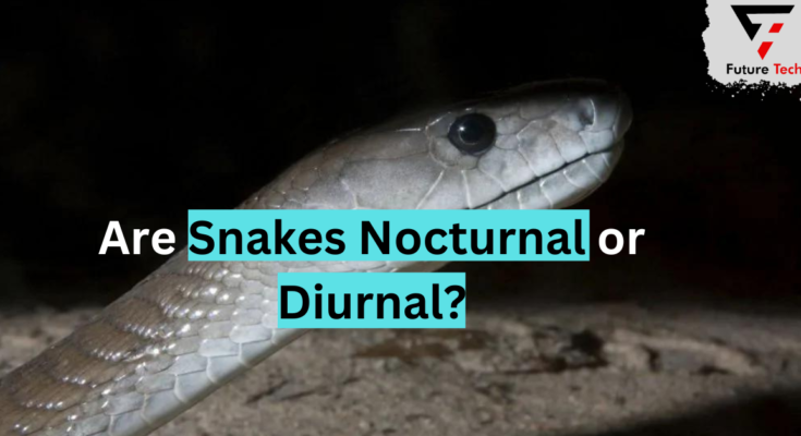 Are Snakes Nocturnal or Diurnal